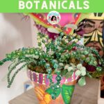 beaded plant